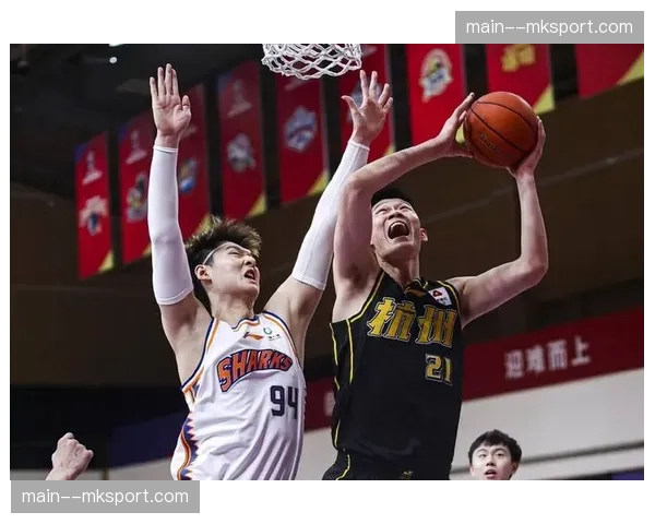 赛季总结:2025-26 CBA常规赛各项数据王出炉,阿不都沙拉木荣膺本土得分王